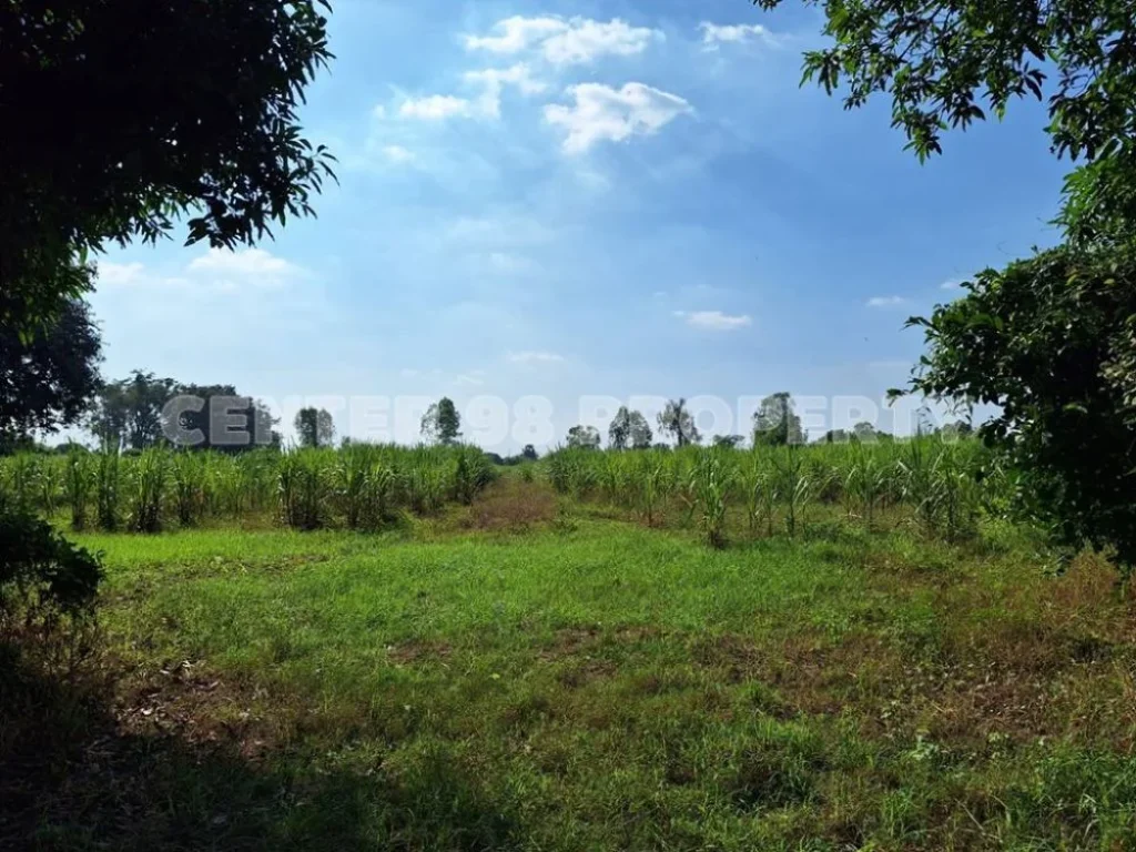 ขาย ที่ดินกำแพงเพชร อคลองขลุง ติดริมถนนสายเอเชีย