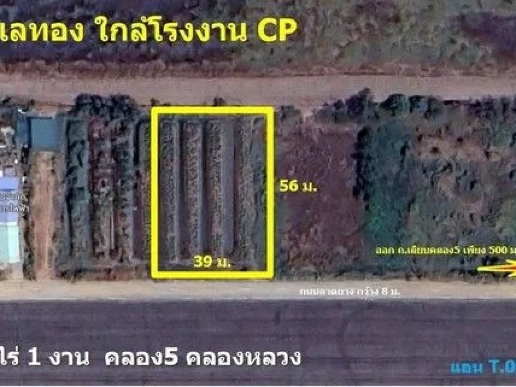 ที่ดินคลอง5 คลองหลวง ปทุมธานี ใกล้โรงงานเครือCP