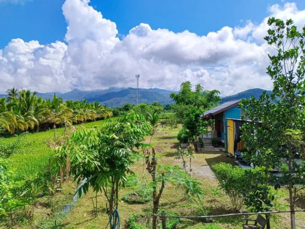 ขายที่ดินพร้อมบ้านสวนบ้านเป้าแม่แตงวิวดอยพร้อมโอน