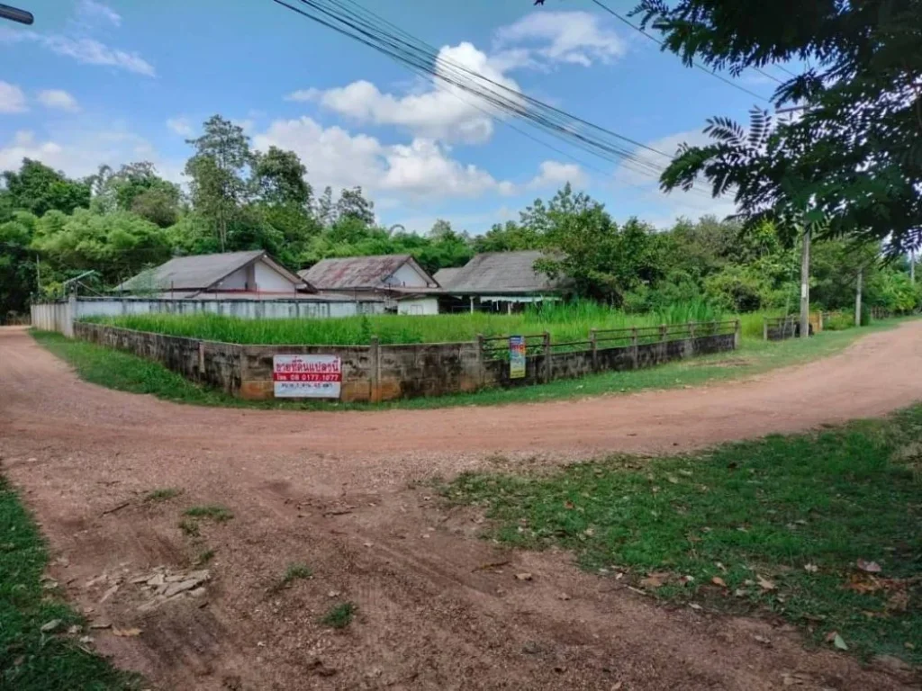 ขายที่ดินในหมู่บ้านมณฑลพัฒนา เชียงยืน มหาสารคาม