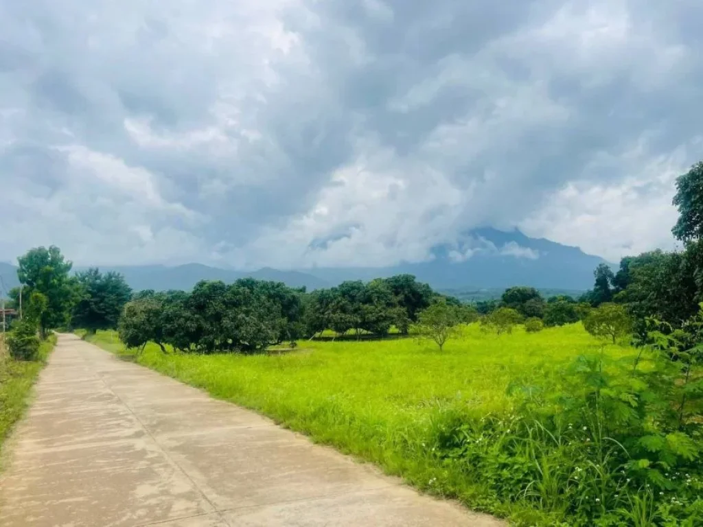 ขายที่ดินบ้านวังจ๊อมเชียงดาววิวดอยหลวงโฉนดพร้อมโอน