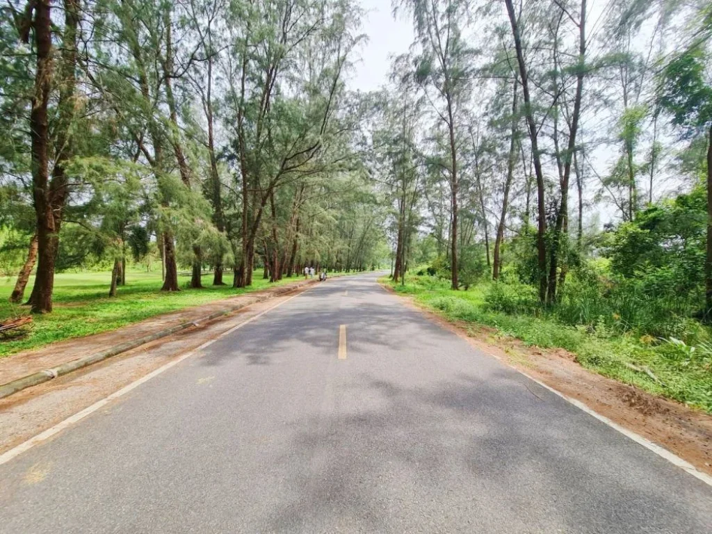 ที่ดินใกล้ทะเลสาปสงขลา เดินทางสะดวก ด้านหลังติดคลองขนาดใหญ่