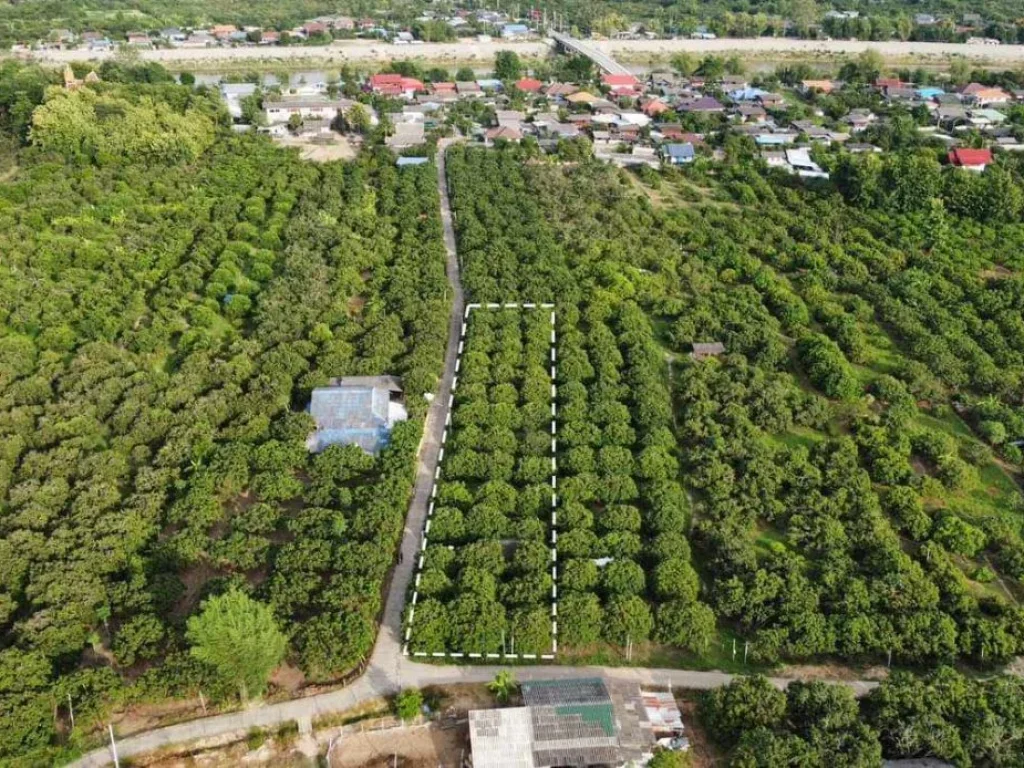 ขายที่สวนวิวดอยอินทนนย์ ใกล้ชุมชน ใกล้วัดพระธาตุศรีจอมทอง