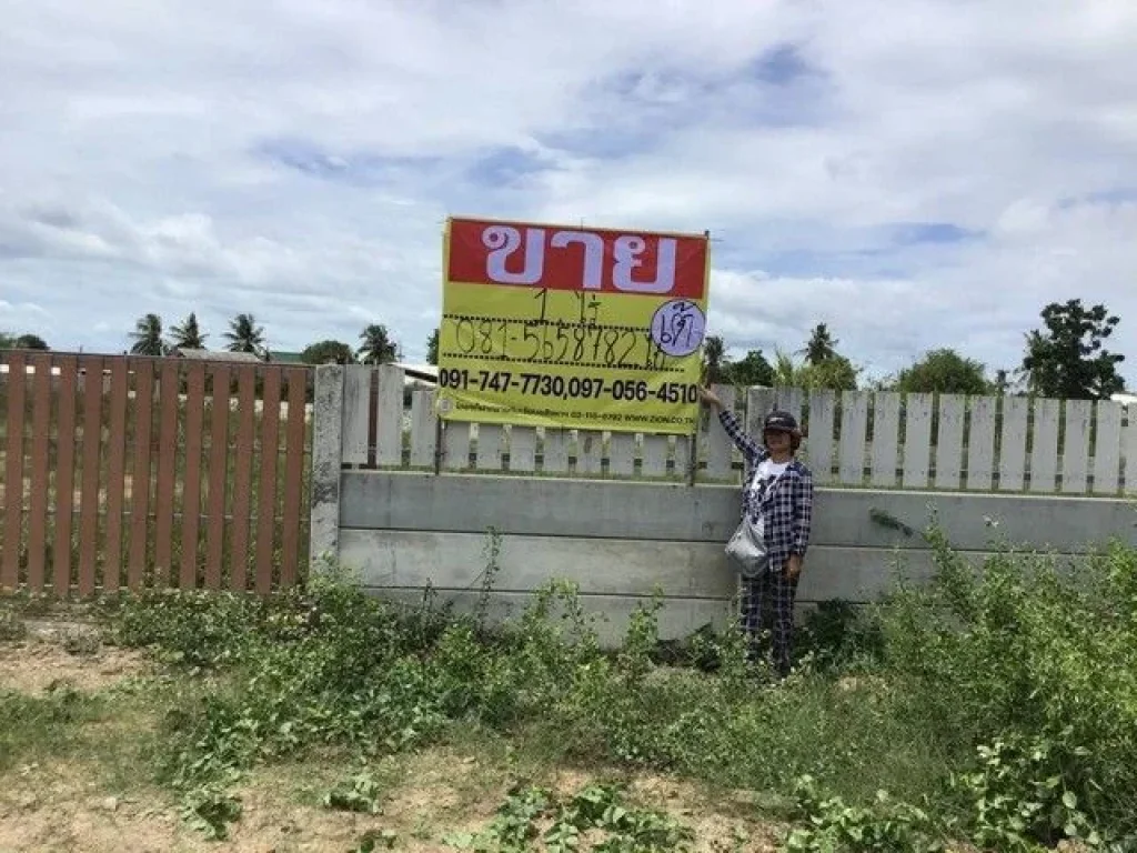 ขายที่ดิน 1ไร่ ใกล้หาดปึกเตียน ตหาดเจ้าสำราญ อเมือง