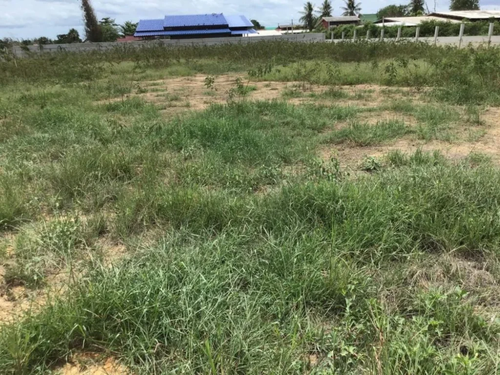 ขายที่ดิน 1ไร่ ใกล้หาดปึกเตียน ตหาดเจ้าสำราญ อเมือง