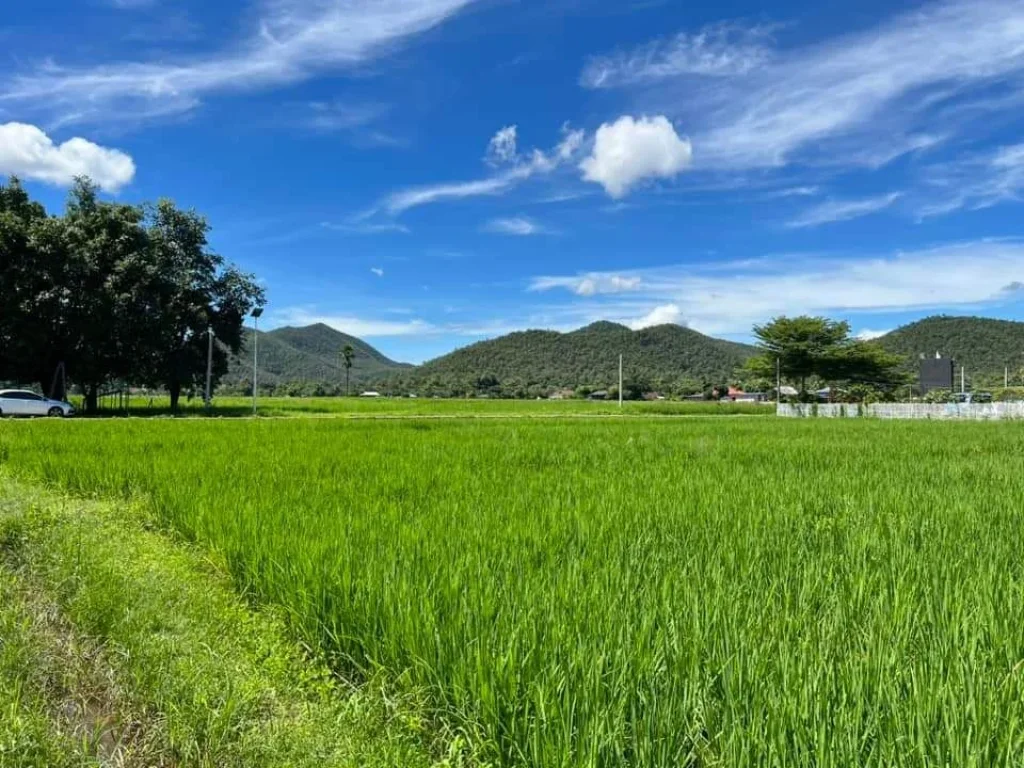 ขายที่ดินวิวดอยออนใต้วิวท้องนาสันกำแพงโฉนดพร้อมโอน