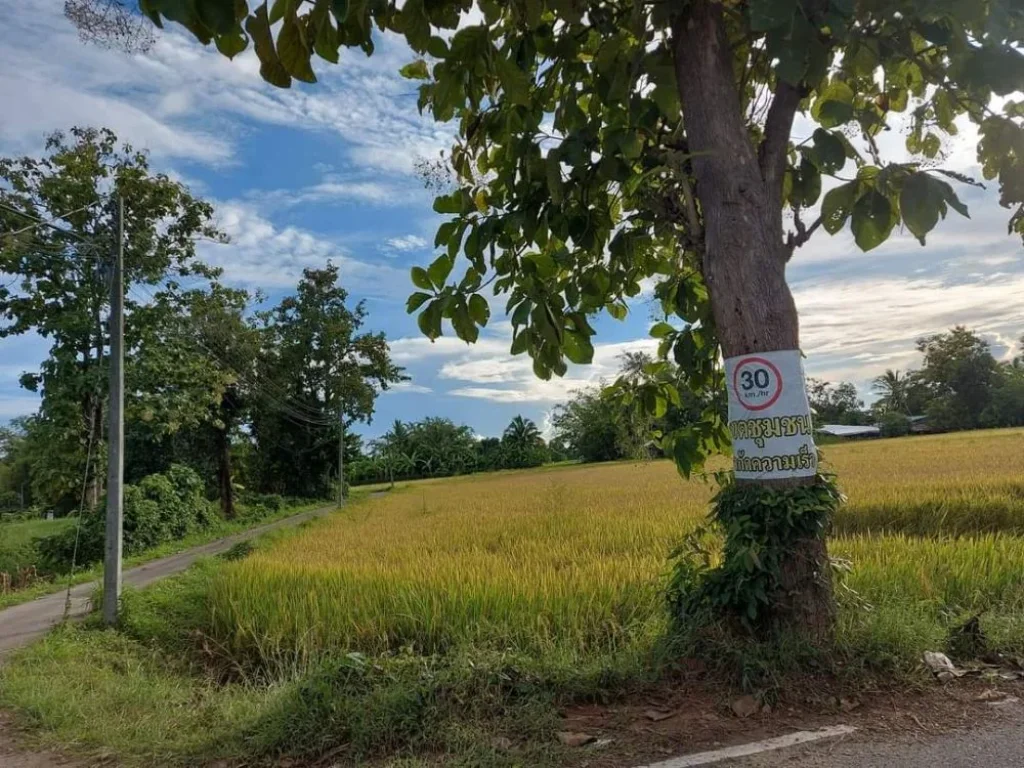 ขายที่นาวิวสวยติดถนนบ้านป่าป้องดอยสะเก็ตโฉนดพร้อมโอน