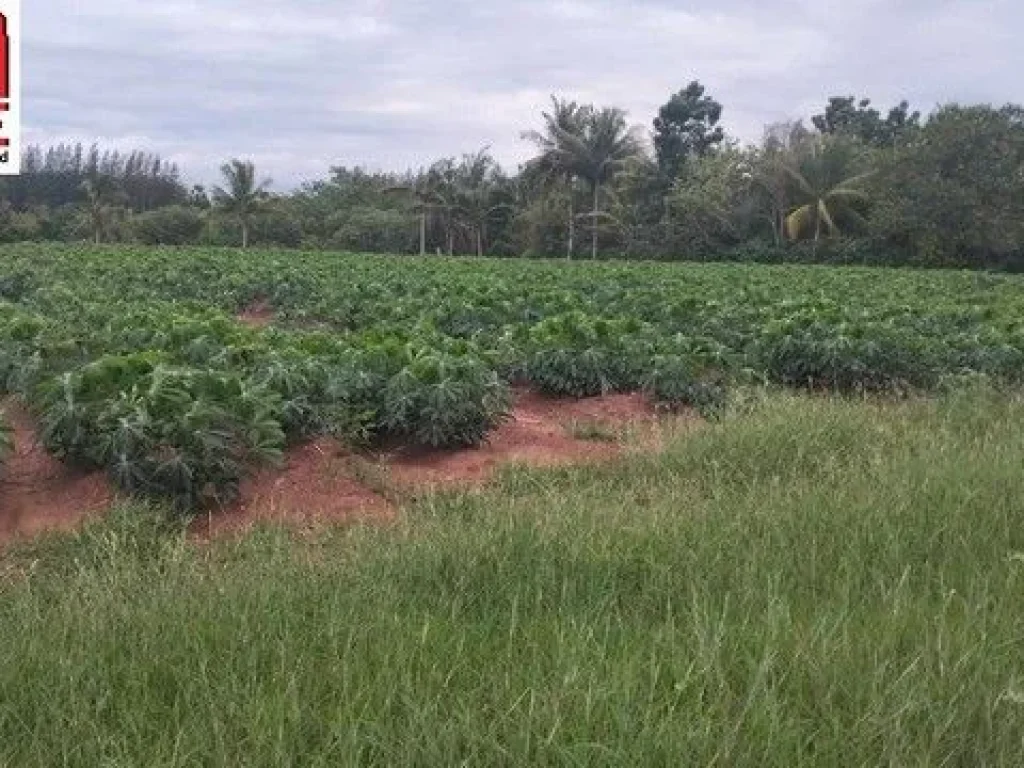 ขายที่ดินพร้อมสิ่งปลูกสร้าง บ้านพักอาศัย 1 ห้องนอน 1 ห้องน้ำ