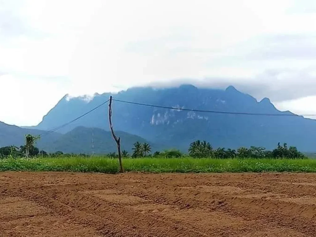 ขายที่ดินถมดินเรียบร้อยเชียงดาววิวดอยติดลำเหมืองพร้อมโอน