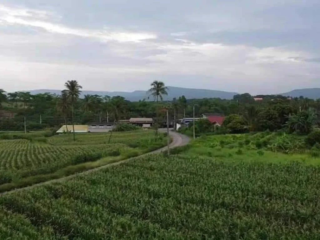 ขายทีดิน 9 ไร่วิวภูเขา โอโชนดีอาอาศดี ที่เขาใหญ่โฉนดครุฑแดงพ