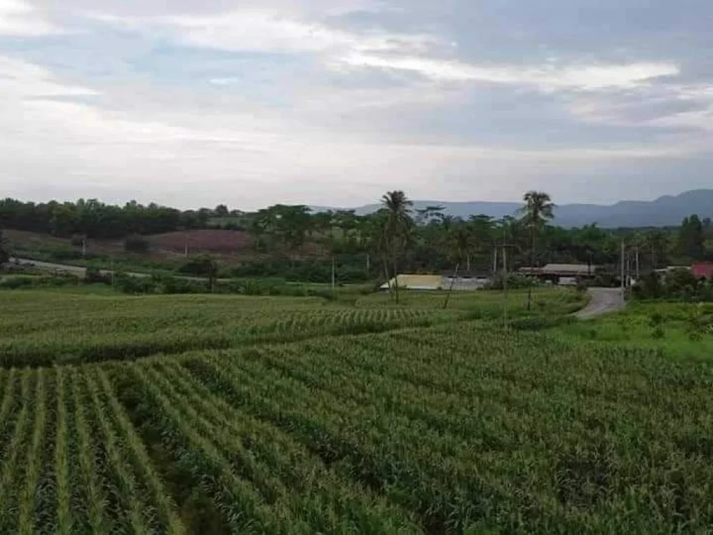 ขายทีดิน 9 ไร่วิวภูเขา โอโชนดีอาอาศดี ที่เขาใหญ่โฉนดครุฑแดงพ