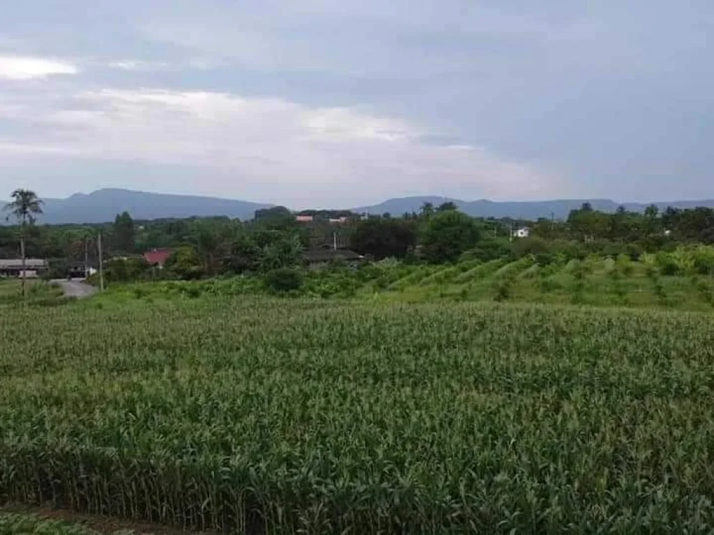 ขายทีดิน 9 ไร่วิวภูเขา โอโชนดีอาอาศดี ที่เขาใหญ่โฉนดครุฑแดงพ