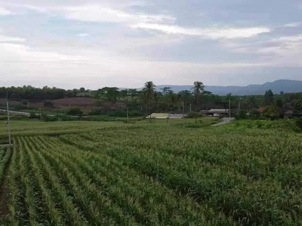 ขายทีดิน 9 ไร่วิวภูเขา โอโชนดีอาอาศดี ที่เขาใหญ่โฉนดครุฑแดงพ