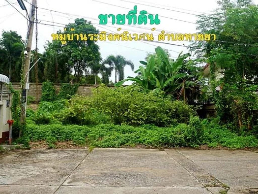 ขายที่ดิน หมู่บ้านระมิงค์นิเวศน์ ตำบลหายยา อำเภอเมือง จังหวัดเชียงใหม่