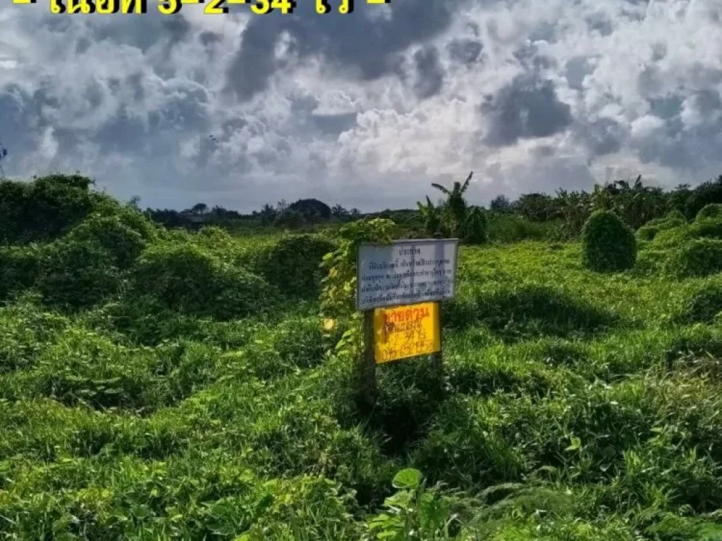 ขายด่วนที่ดินแปลงสวยติดถนน ถจันทบุรี-แหลมสิงห์ จจันทบุรี