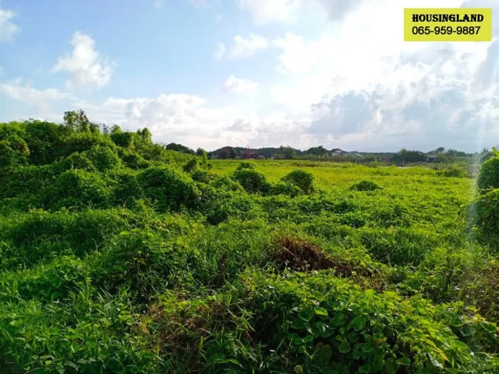 ขายด่วนที่ดินแปลงสวยติดถนน ถจันทบุรี-แหลมสิงห์ จจันทบุรี