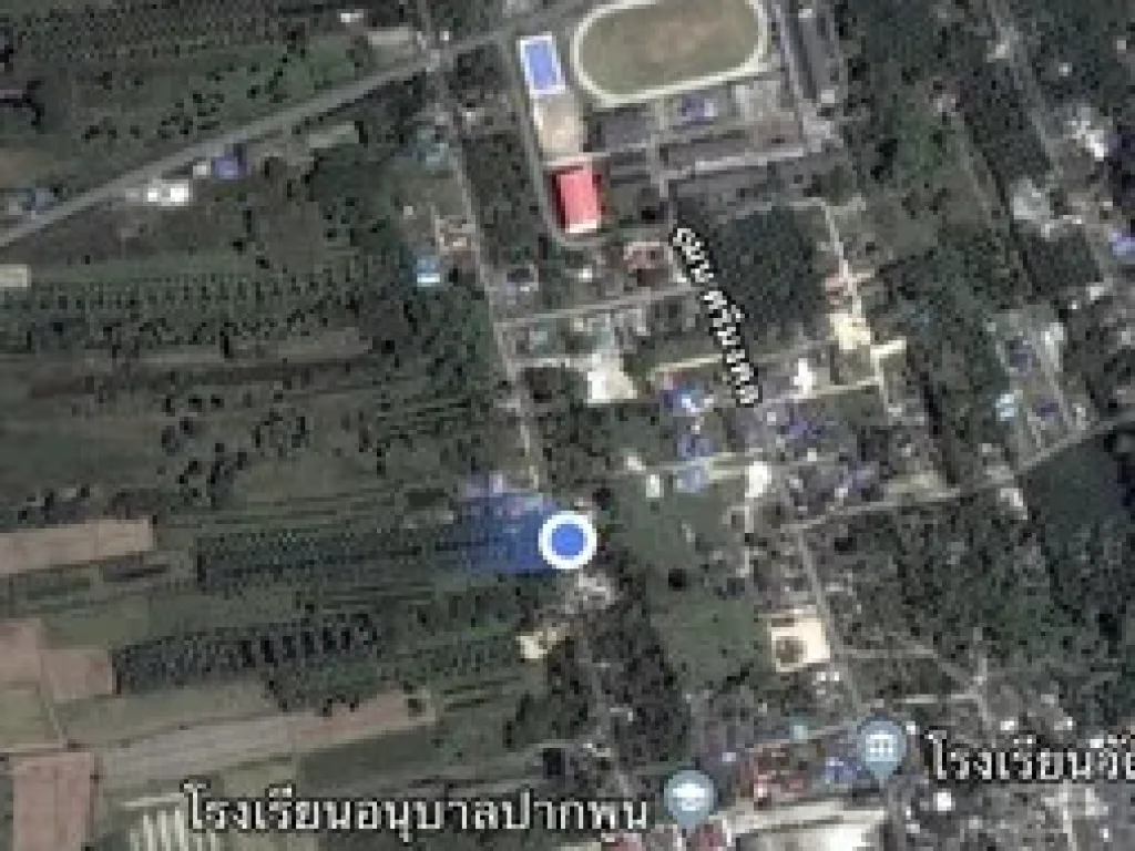 ขายที่ดิน2 แปลง ใกล้โรงเรียนอนุบาลปากพูน อเมืองจนครศรีธรรราช