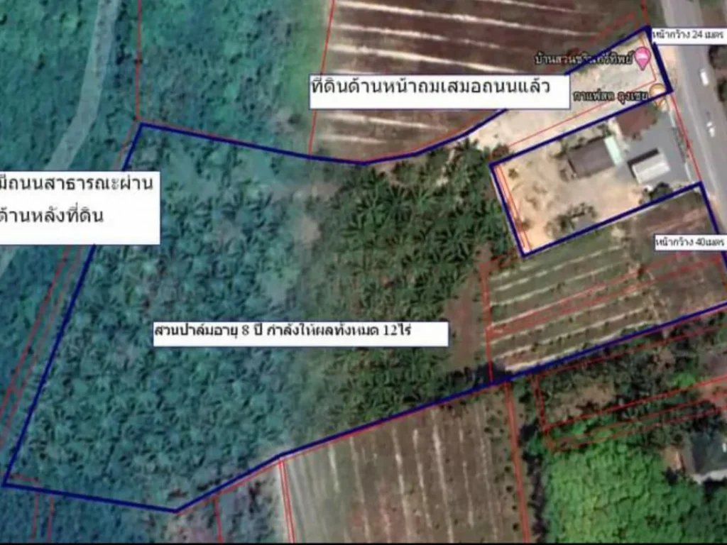 ขายทีดิน 15 ไร่ 3 งาน 67 ตรวา ตท่าขึ้น อท่าศาลา จนครศรีธรรมราช