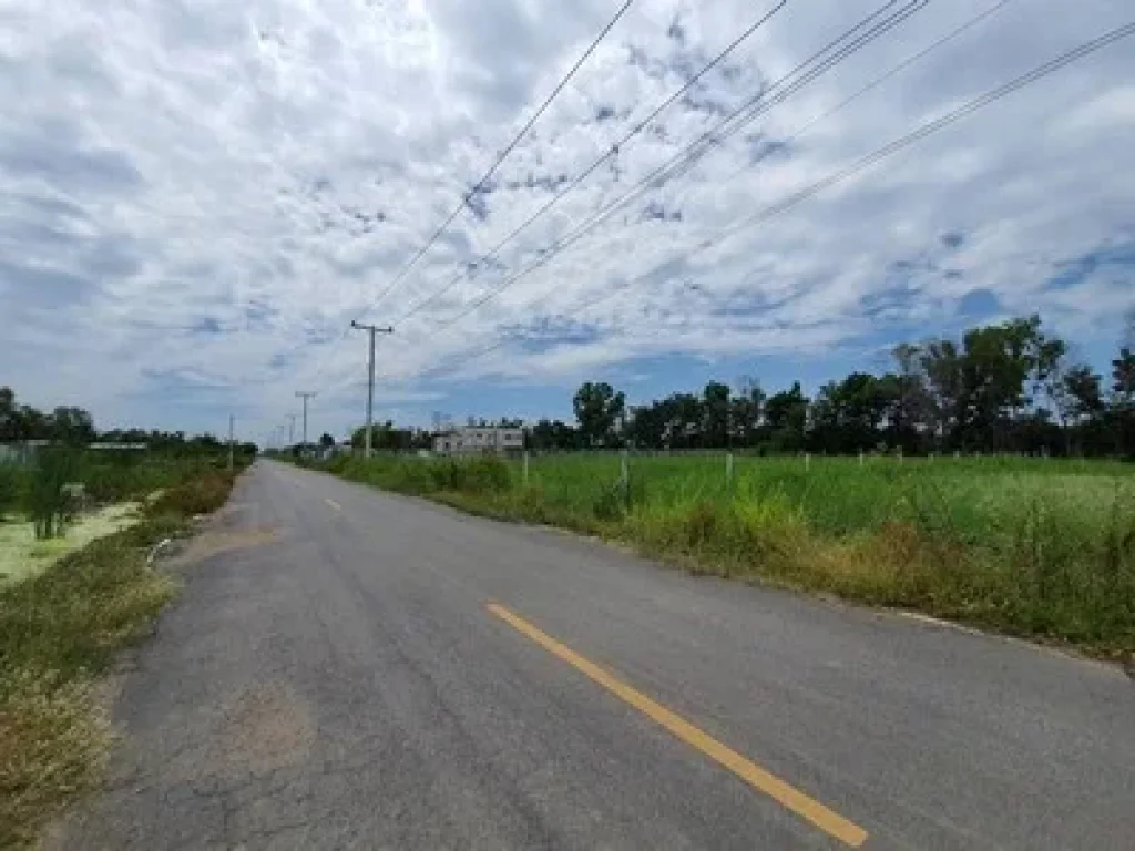 ขายที่ดินหนองเสือ คลอง11 ขนาด 200 ตรว ติดถนนลาดยาง มีน้ำไฟครบ เหมาะสร้างบ้านและทำการเกษตร ทำโกดัง