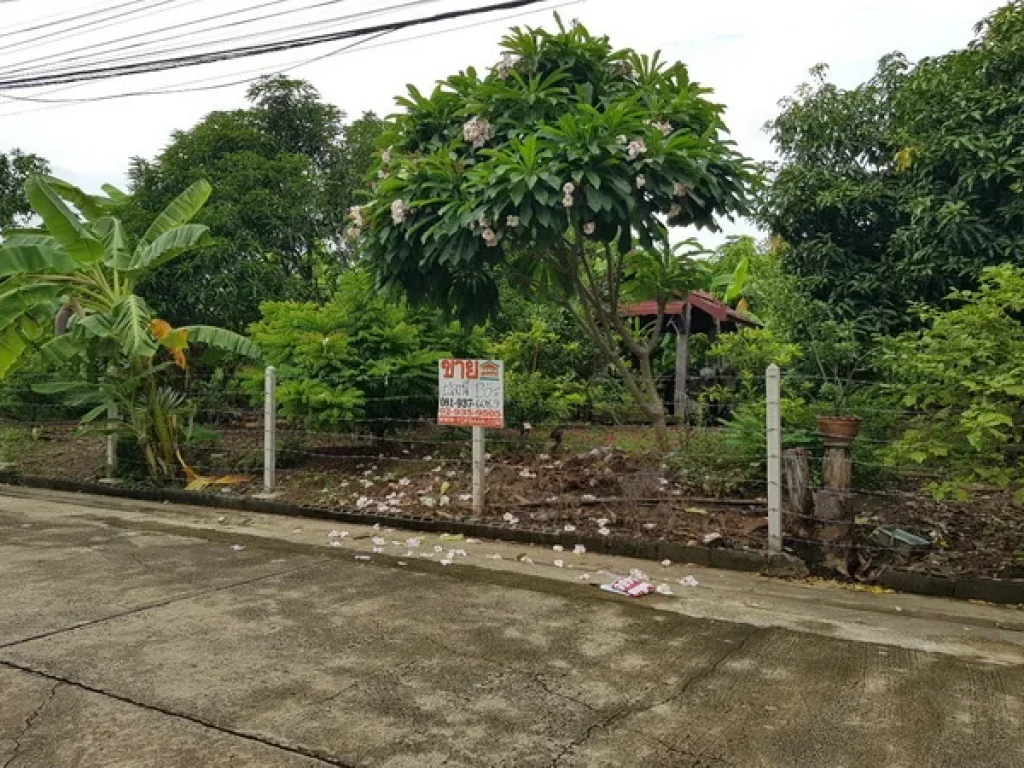 ขาย ที่ดิน ในหมู่บ้านสาวิตรี ศาลาธรรมสพน์ 31 ถนนพุทธมณฑลสาย 3 เขตทวีวัฒนา กรุงเทพมหานคร