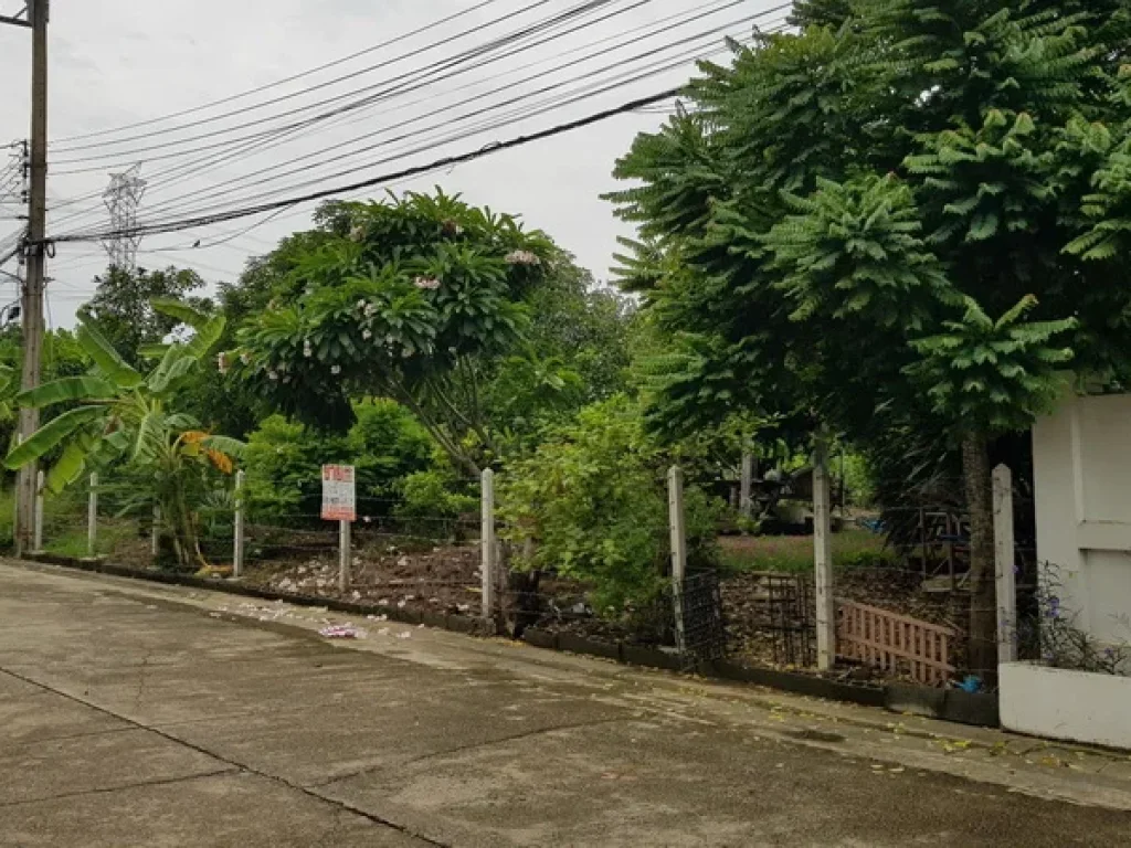 ขาย ที่ดิน ในหมู่บ้านสาวิตรี ศาลาธรรมสพน์ 31 ถนนพุทธมณฑลสาย 3 เขตทวีวัฒนา กรุงเทพมหานคร