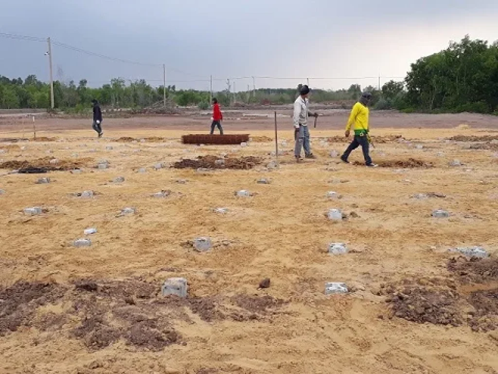 ขาย โกดังทำเลดี ราคาถูก ตหลักชัย อลาดบัวหลวง จพระนครศรีอยุธยา