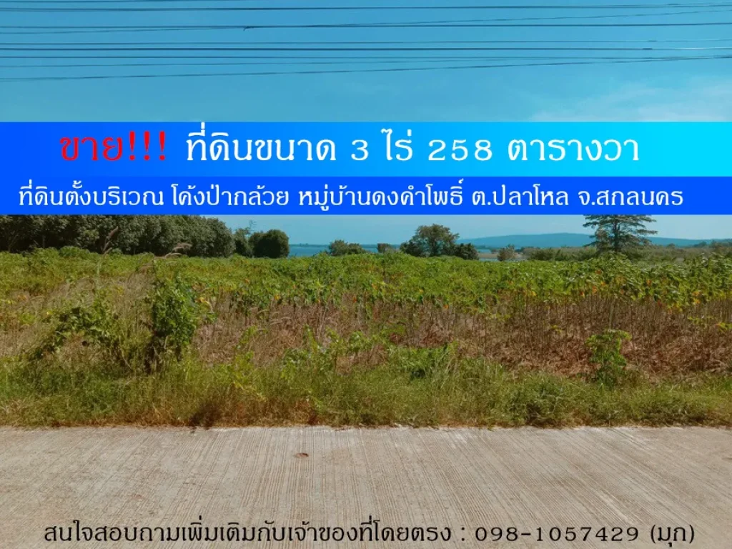 ขาย ที่ดิน 3 ไร่ 258 ตรว หมู่บ้านดงคำโพธิ์ สกลนคร