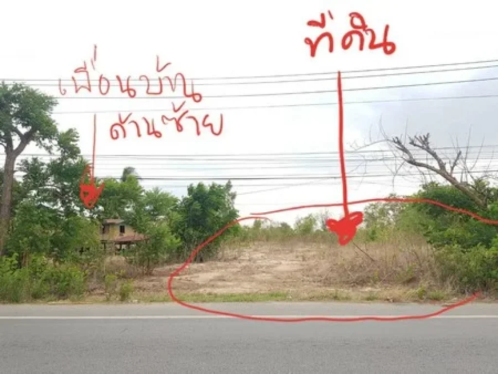 ขายที่สวยสุพรรณ มีโฉนด 2 ไร่ 82 ตรว ใจกลางตัวอำเภอหนองหญ้าไซติดถนนลาดยาง 3015