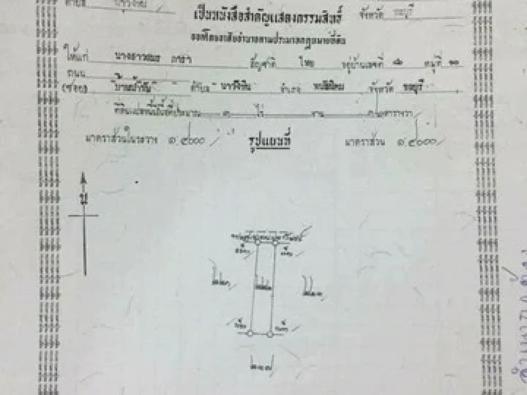 ขายด่วน ที่ดิน เนื้อที่ 100 ไร่ มี 3 โฉนด ใกล้ สวนผึ้งทอง ตำบลนาวังหิน อำเภอพนัสนิคม จังหวัดชลบุรี