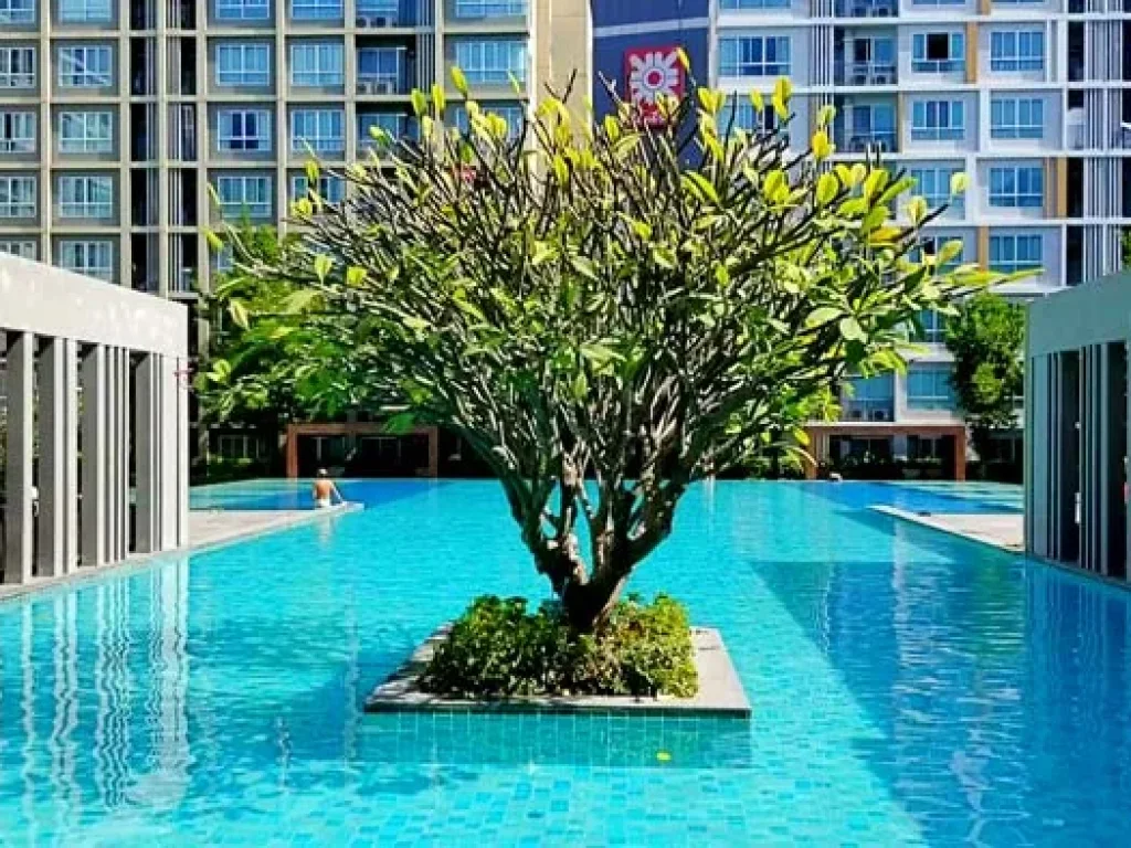 ขาย D Condo Sign ติดเซ็นทรัล เฟสติวัล เชียงใหม่