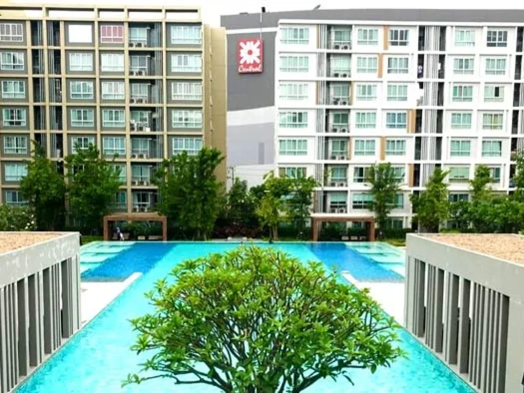 ขาย D Condo Sign ติดเซ็นทรัล เฟสติวัล เชียงใหม่