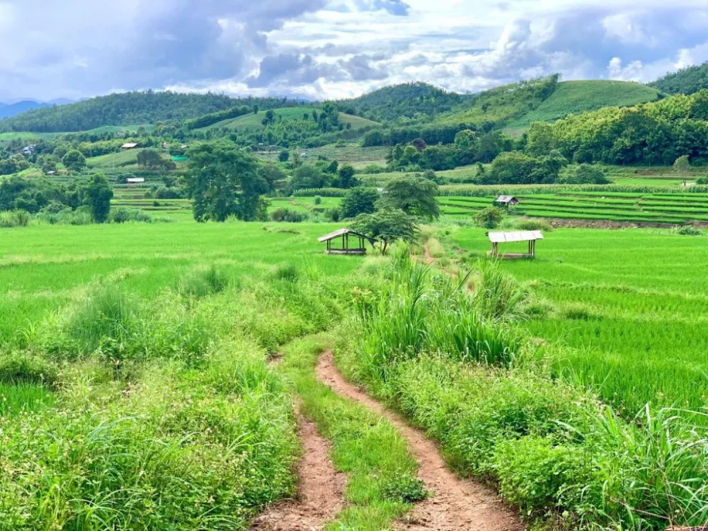 ขายที่ดินเนินขั้นบรรได วิวภูเขา ติดธารน้ำ แม่แจ่มท่าผ่า ราคาถูก