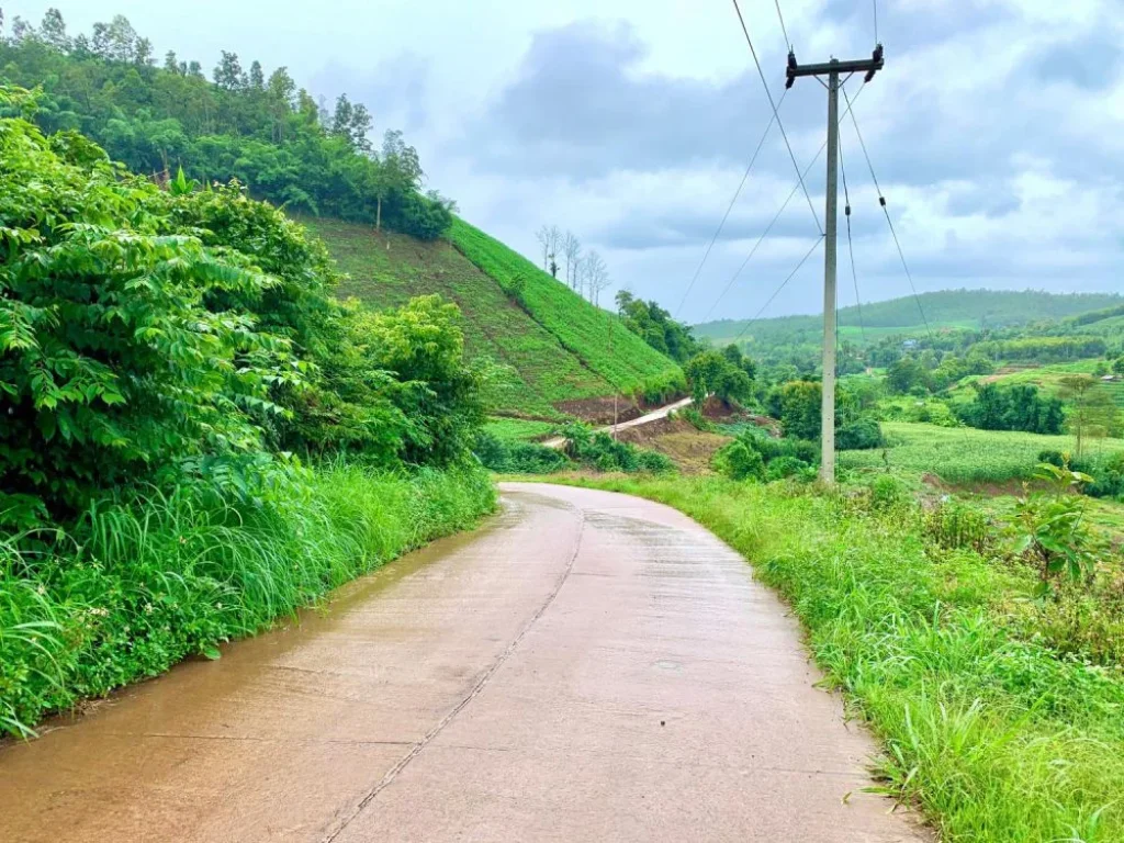 ขายที่ดินเนินดอนขั้นบรรได ติดเขา ติดน้ำ แม่แจ่มท่าผ่า เชียงใหม่