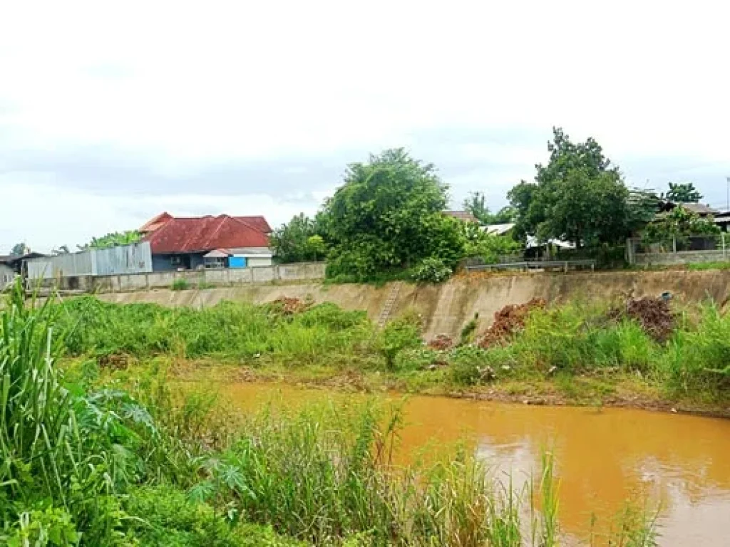 ขายที่ดินบ้านทุ่งหลุก ตำบลท่าวังพร้าว อำเภอสันป่าตอง ติดน้ำแม่วาง