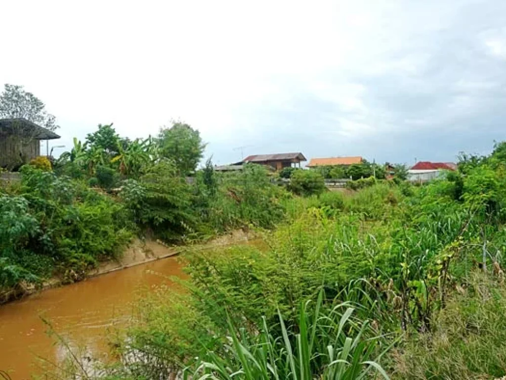 ขายที่ดินบ้านทุ่งหลุก ตำบลท่าวังพร้าว อำเภอสันป่าตอง ติดน้ำแม่วาง