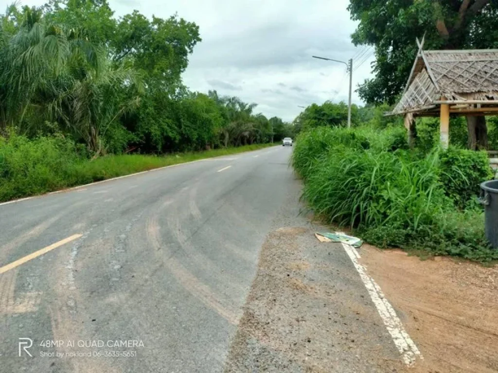 ขายที่ดินถมแล้ว เนื้อที่ 1 ไร่ 93 ตรว ติดถนนดำ คลอง 8 หนองเสือปทุม พวงแก้ว ปทุมธานี