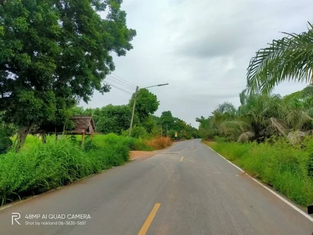 ขายที่ดินถมแล้ว เนื้อที่ 1 ไร่ 93 ตรว ติดถนนดำ คลอง 8 หนองเสือปทุม พวงแก้ว ปทุมธานี