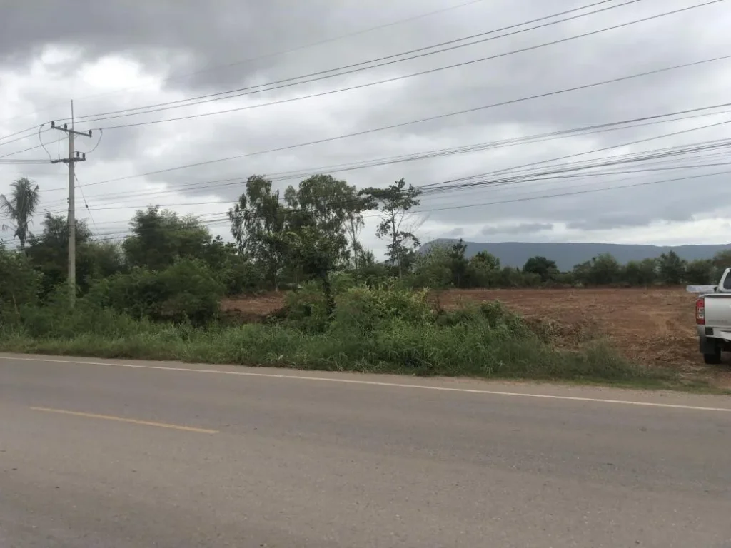 ขายที่ดินถมแล้วติดถนนหลักเส้นหลักเกษตรสมบูรณ์-หนองบัวแดง บ้านโนนสังข์ ตบ้านบัว