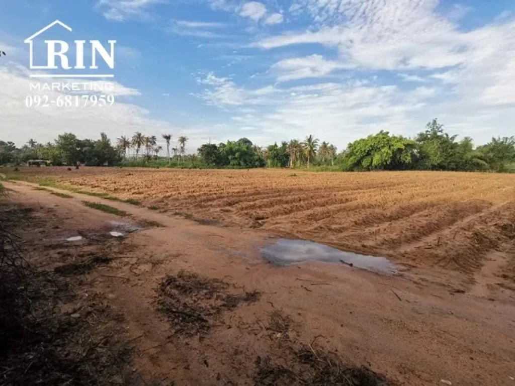 ขายที่ดินตะเคียนเตี้ย ติดถนนทุกด้าน ติดน้ำ ไฟ ครบ เหมาะสำหรับทำโครงการจัดสรร