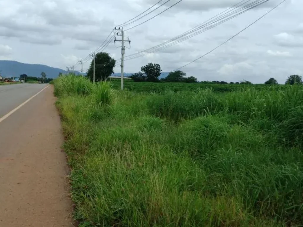 ขายที่ดิน30ไร่ ติดถนนลาดยาง3060 ตคลองม่วง อปากช่อง เขาใหญ่ โคราช