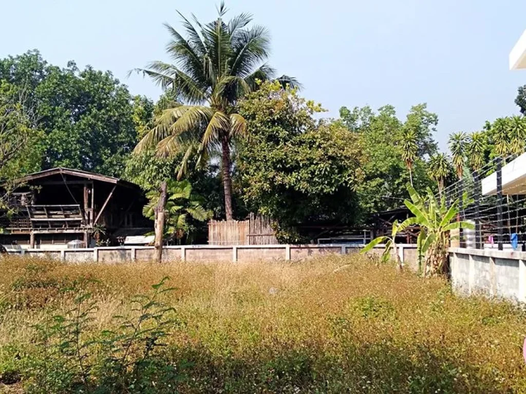 ขายที่ดิน ถราชเชียนแสน ตหายยา ใกล้คูเมือง ถนนคนเดิน ตลาดประตูเชียงใหม่