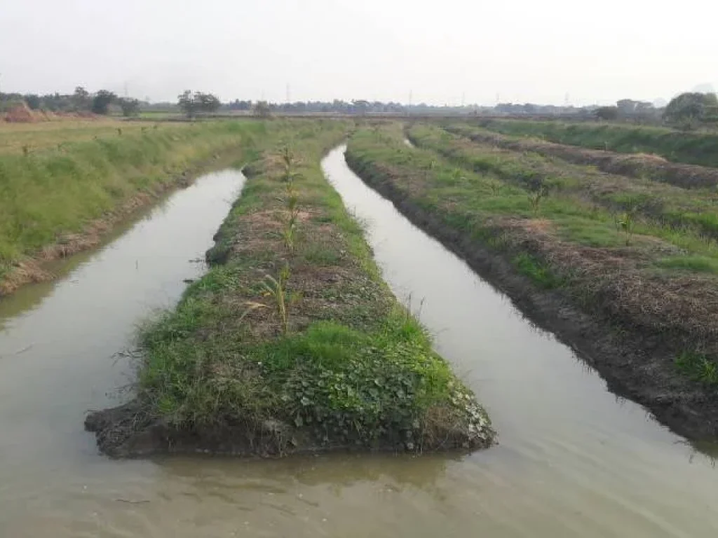 ที่ดินสวย มีโฉนด พร้อมสวนมะพร้าวน้ำหอม อำเภอเมือง จังหวัดราชบุรี