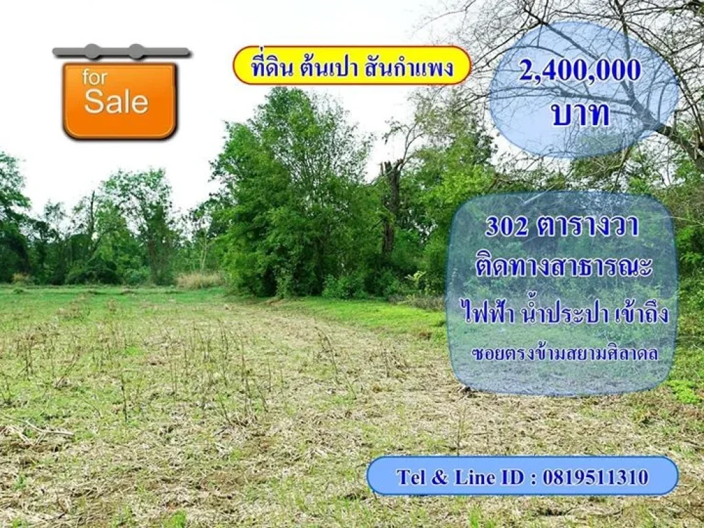 ขายที่ดิน ต้นเปา ตรงข้ามสยามศิลาดล สันกำแพงสายเก่า