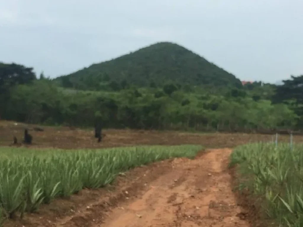 ขายที่ดินติดอ่างน้ำ วิวสวย บรรยากาศดี ทำเลเยี่ยม ที่ดินอยู่ตำบลทับใต้ อหัวหิน ประจวบ เนื้อที่ 22 ไร่