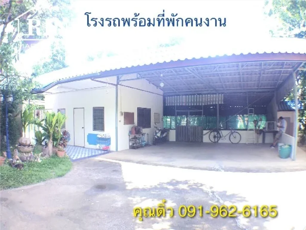 ขายบ้านพร้อมที่ดิน ที่โคราช 1ไร่ 3งาน 85 ตรวา ติดโรงเรียนอนุบาลหลานย่าโม่ ตโพธิ์กลาง อเมือง จ นครราชสีมา คุณติ๋ว 095-609-9165