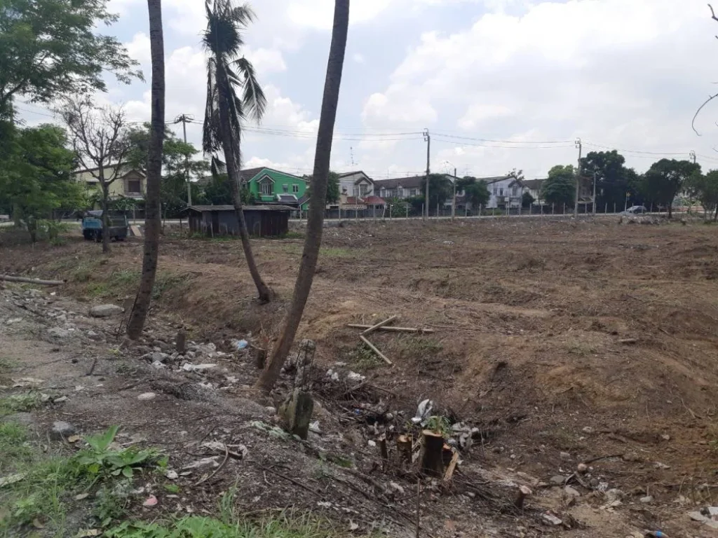 ที่ดินเปล่า ถนนราชพฤกษ์ บางบังทอง 8ไร่ 3งาน 80ตรว ติดเจ้าของ