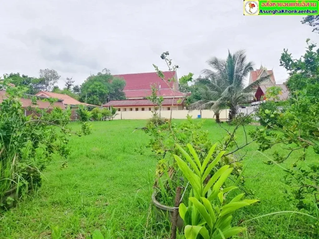 ที่ดินติดถนนในตัวหมู่บ้านหนองหิน พร้อมบ้านชั้นเดียว เดินทางสะดวก เงียบสงบแต่ไม่ห่างจากสิ่งอำนวยความสะดวก เหมาะทำบ้านสวนหรือหอพักเป็นอย่างมาก เมืองขอนแ