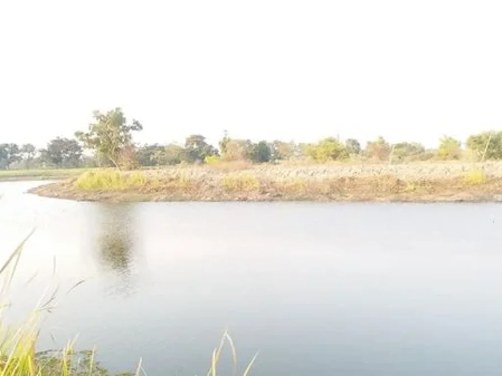 ขาย ที่ดินแปลงสวย ติดเลค วิวงาม ในสนามกอล์ฟสุวรรณภูมิ สดได้ ผ่อนได้ เอาที่สะดวก T 0621574449