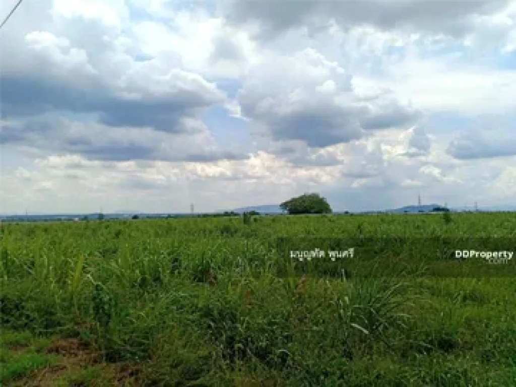 ขายที่ดินแปลงสวยมาก ตำบลคำพราน อำเภอวังม่วง จังหวัดสระบุรี