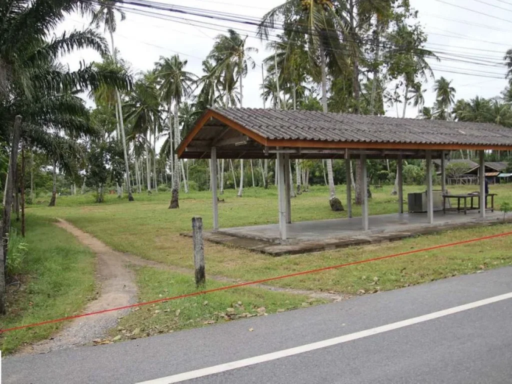 ขาย ที่ดินเปล่า ติดถนนบ้านหัวหิน ท่าชะมวง ตละงู อละงู จสตูล